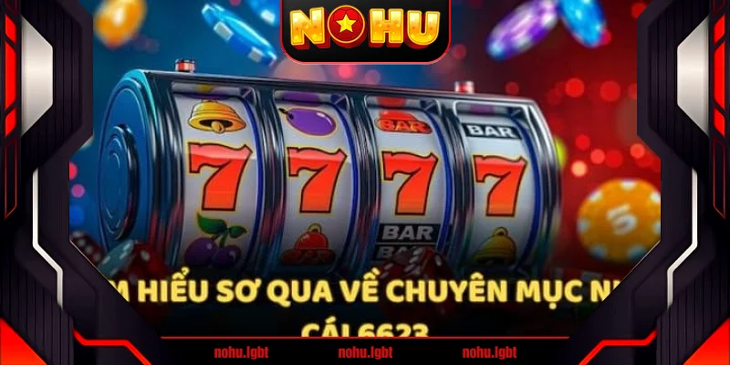 Sơ lược thông tin về nhà cái 6623 Sơ lược thông tin về nhà cái 6623